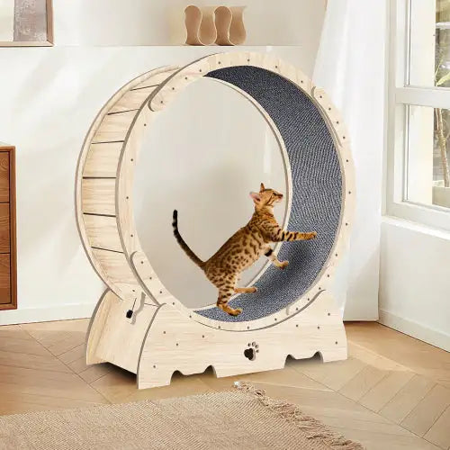 Cat Indoor Exercise Wheel