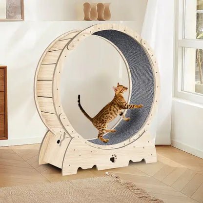 Cat Indoor Exercise Wheel