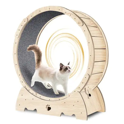 Cat Indoor Exercise Wheel