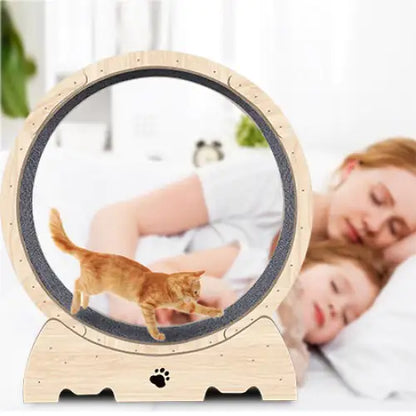 Cat Indoor Exercise Wheel